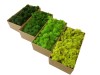 Preserved Swedish Reindeer Moss ''Cladonia Stellaris'' Color Dark Green