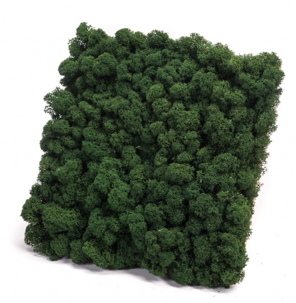 Moss Green Eastwood Painted Wall Panel 900x350x18mm